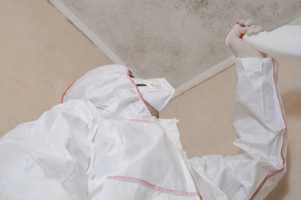 Best Health and Safety Mold Remediation in Marion, MS